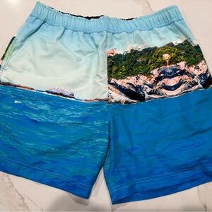 French Connection Oceanic Print Swim Trunks